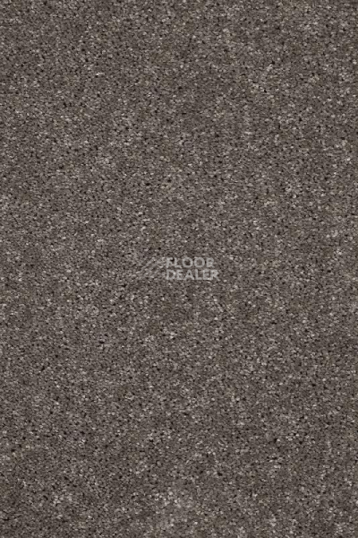 Ковролин AW Invictus Atticus Atticus 49 фото 1 | FLOORDEALER